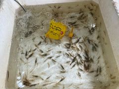 -头塘庄园(农家乐)