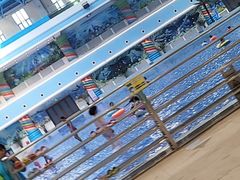 -海豚堡温泉水乐园