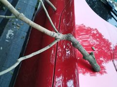 -上海总工会黄浦区工人体育馆-停车场