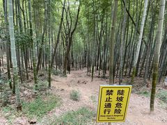 -上海佘山国家森林公园天马山园