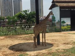 -灵玲国际马戏城