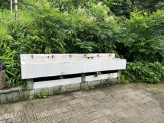 -铁山坪森林公园