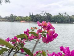-西湖公园(鼓楼区)