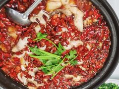 -秦扬居特色菜馆(上王村)