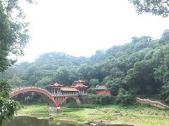 -串妹花式冰粉(乐山总店)