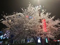 -衣裳街历史文化街区