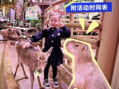-正佳雨林生态植物园
