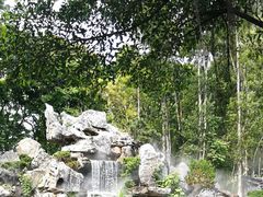 -东莞植物园