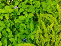 -西湖区图书馆(古墩路)