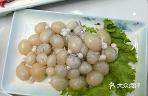 Octopus Eggs