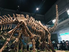 -自贡恐龙博物馆