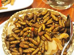 -顺德了能馆(虎门店)