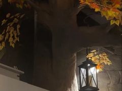 -暴风岛沉浸式体验馆(百联世纪店)