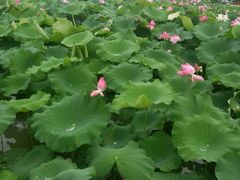 -佰迪乐KTV·大屏K歌(公园店)