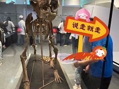-北京周口店北京人遗址博物馆