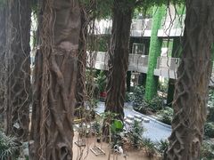 -武清南湖绿博园