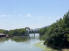 -长广溪湿地公园