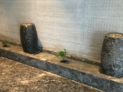 -富力万达嘉华酒店-品珍中餐厅(水果湖店)
