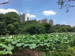 -金山公园
