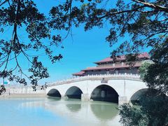-大湾区中央湿地公园