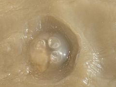 -东疆理想海岸沙滩景区