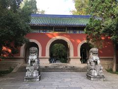 -灵谷景区