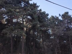 -棋盘山风景区