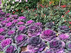 -人民公园(罗湖区)