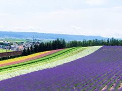 -富田农场