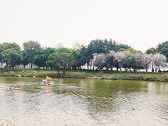 -海珠湖公园