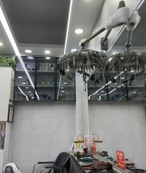 -青霖·飘逸造型