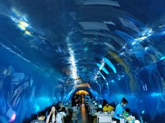 -海棠湾洲际-涛·海底餐厅·美人鱼·自助餐·海底隧道