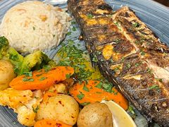 -Elif Turkish BBQ Restaurant
