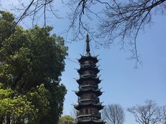 -上海佘山国家森林公园西佘山园