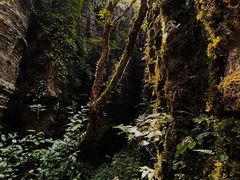 -梭布垭石林景区