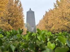 -玲珑塔公园