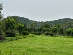 -上海佘山国家森林公园天马山园