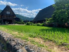 -白川乡与五箇山的合掌构造村落