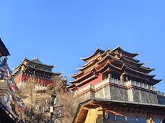 -顺顺小吃(独克宗古城店)