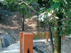-阳台山森林公园
