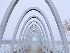 -大兴滨河森林公园