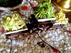 iphone_upload_pic-慢丽江·云南野生菌土鸡锅(付家庄店)