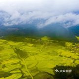 春意在田间地头慢慢铺开，万亩油菜花成片绽放