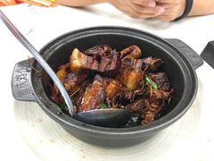 -新峰肉骨茶