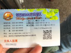 -南京银杏湖乐园