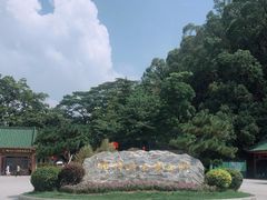 -顺峰山公园