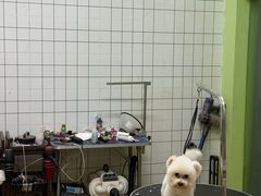 -沐沐家宠物(成寿寺店)