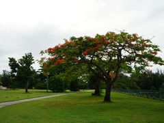-美国纪念公园