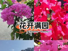 -友谊阳光城