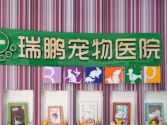 -瑞鹏·疫苗·绝育·宠物医院(金沙洲店)